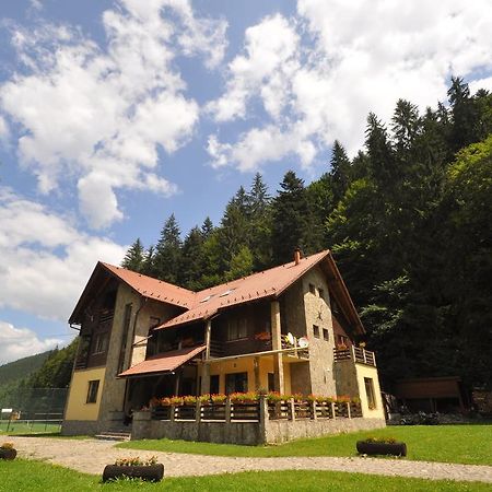 Pensiunea Denisa Lunca Bradului Buitenkant foto