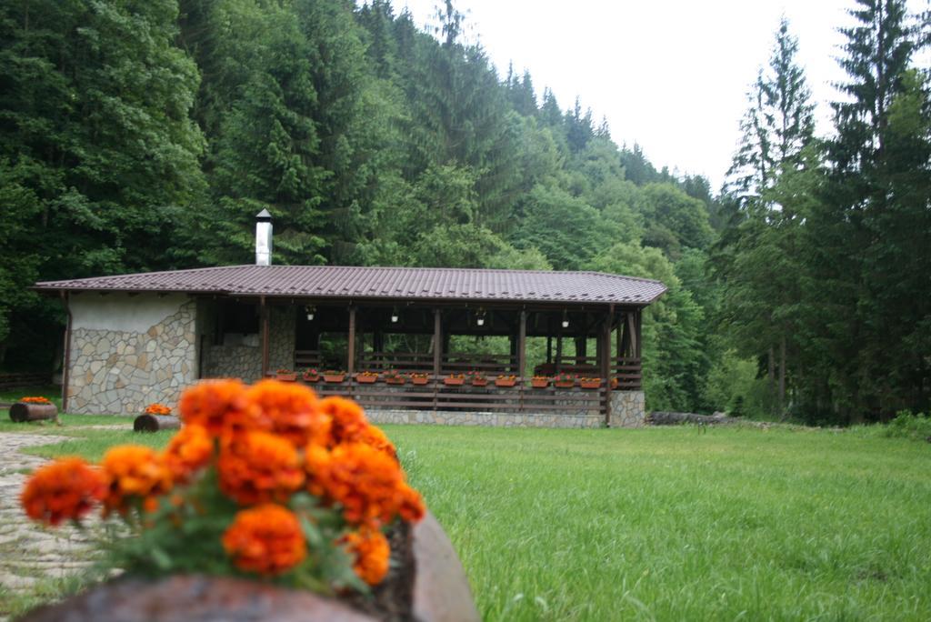 Pensiunea Denisa Lunca Bradului Buitenkant foto